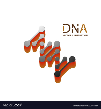 Abstract dna strand symbol isolated on white vector image