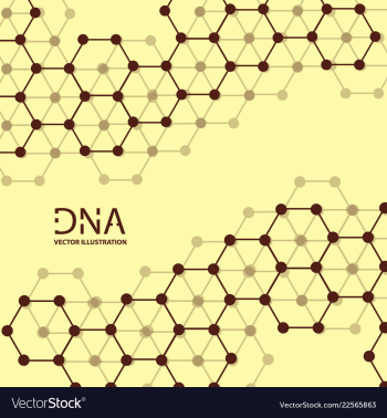 Abstract dna strand symbol isolated on white vector image