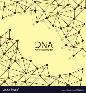 Abstract dna strand symbol isolated on white vector image