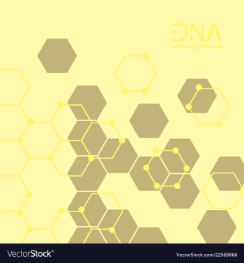 Abstract dna strand symbol isolated on white vector image
