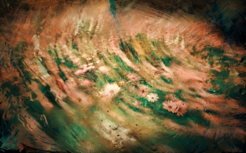 Abstract field of flowers
