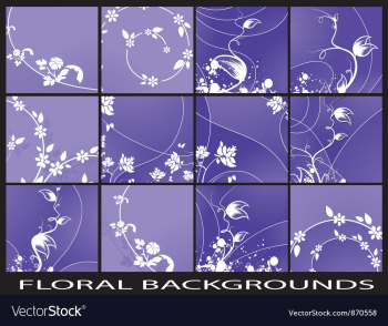 Abstract floral backgrounds set vector image Abstract floral backgrounds set vector image