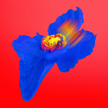 Abstract flower element, psychedelic blue… | Free stock illustration | High Resolution graphic