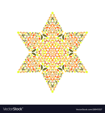 Abstract isolated petal ornament star logo vector image Abstract isolated petal ornament star logo vector image