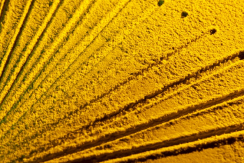 Abstract sun rays made from sand Free Photo Abstract sun rays made from sand Free Photo