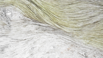 Abstract texture desktop wallpaper, high | Free Photo - rawpixel Abstract texture desktop wallpaper, high | Free Photo - rawpixel