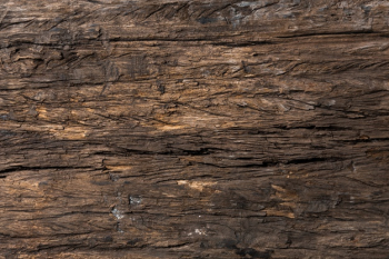 Abstract wooden seamless texture background Free Photo Abstract wooden seamless texture background Free Photo