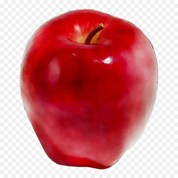 Accessory fruit Food Amazon.com Pomegranate - Accessory fruit Food Amazon.com Pomegranate -