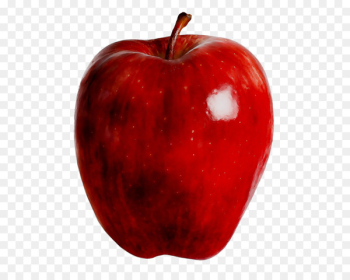 Accessory fruit McIntosh Laboratory RED.M - Accessory fruit McIntosh Laboratory RED.M -