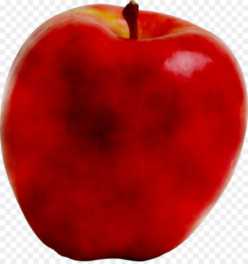Accessory fruit McIntosh Laboratory RED.M - Accessory fruit McIntosh Laboratory RED.M -