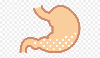 Acid, Medical, Body Parts, Anatomy, Organ, Stomach - Stomach Png Cartoon Acid, Medical, Body Parts, Anatomy, Organ, Stomach - Stomach Png Cartoon