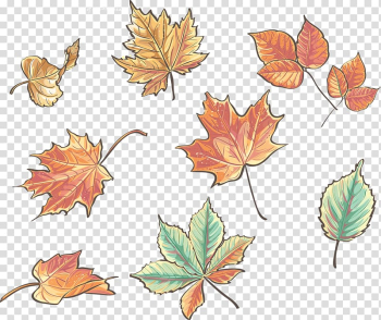 Acorn, acorn transparent background PNG clipart Acorn, acorn transparent background PNG clipart