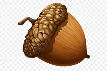 Acorn Clip art - Acorn PNG Clipart Picture Acorn Clip art - Acorn PNG Clipart Picture