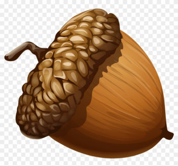 Acorn Clipart 1 Nice Clip Art - Acorn Png Acorn Clipart 1 Nice Clip Art - Acorn Png