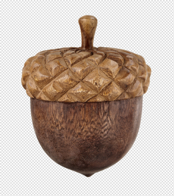 Free: Acorn PNG Free Download - nohat.cc