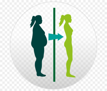 Adipose tissue Weight loss Fat Obesity - fat Adipose tissue Weight loss Fat Obesity - fat