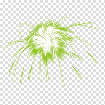 Adobe Fireworks, Fireworks transparent background PNG clipart Adobe Fireworks, Fireworks transparent background PNG clipart