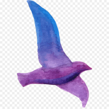 Adobe Illustrator Euclidean vector - Purple Pigeon Adobe Illustrator Euclidean vector - Purple Pigeon