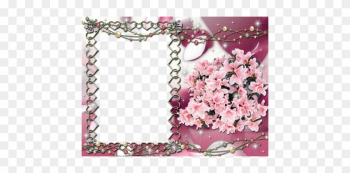 Adobe Photoshop Frame Free - Flower Frame Adobe Photoshop Frame Free - Flower Frame