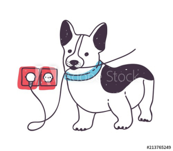 Adorable dog gnawing or eating wires Adorable dog gnawing or eating wires