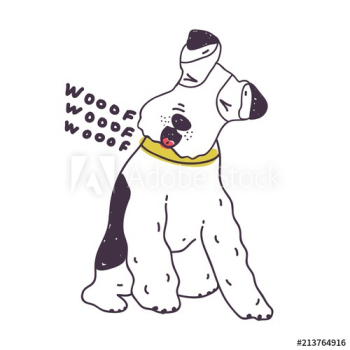Adorable dog loudly barking Adorable dog loudly barking