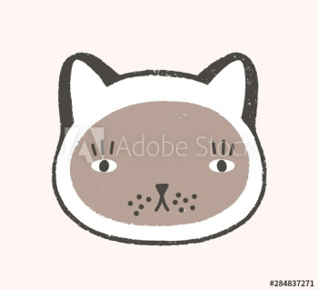 Adorable face of cat Adorable face of cat