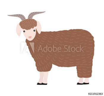 Adorable goat isolated on white background Adorable goat isolated on white background