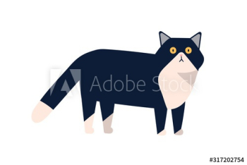 Adorable mammal domestic animal vector flat illustration