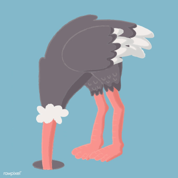 Adorable ostrich graphic | Free stock vector - 44659 Adorable ostrich graphic | Free stock vector - 44659