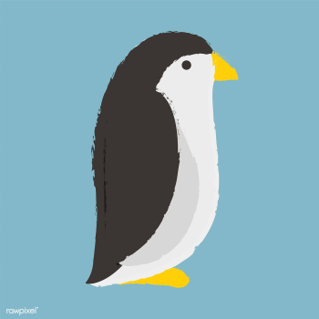 Adorable penguin graphic | Free stock vector - 44800 Adorable penguin graphic | Free stock vector - 44800