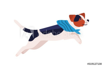 Adorable playful beagle dog breed in scarf isolated on white Adorable playful beagle dog breed in scarf isolated on white