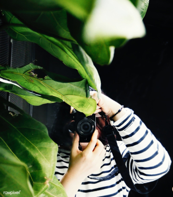Adult alone camera | Free stock photo - 71245