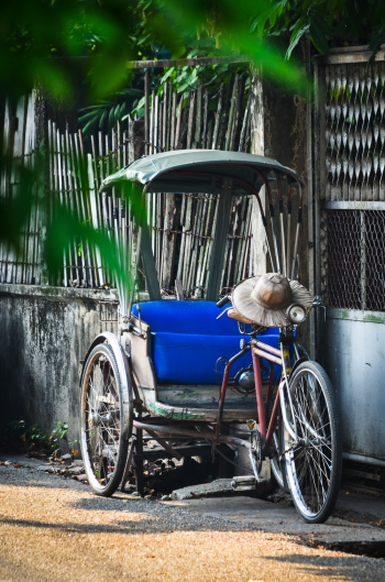 Adult Trike Near Gate Adult Trike Near Gate