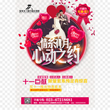 Advertising Poster Wedding photography Flyer - Wedding photo studio poster 