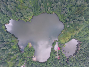 Aerial Photography of a Lake