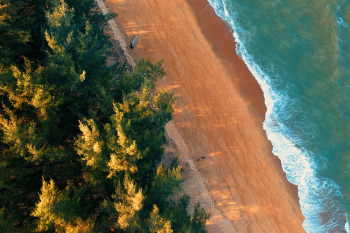 Aerial Photography of Beach Aerial Photography of Beach