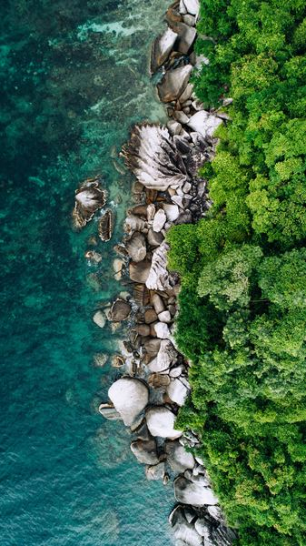 aerial photography of beach shore aerial photography of beach shore