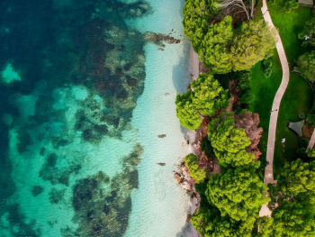 Aerial Photography of Beach With Trees Aerial Photography of Beach With Trees