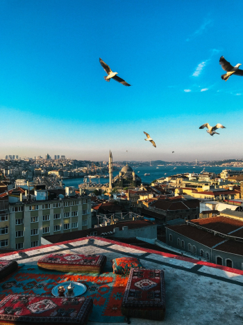 Aerial Photography of Birds Above Buildings