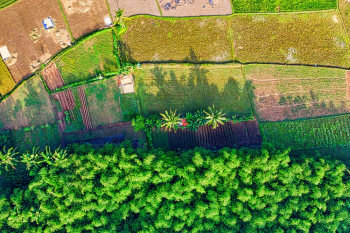 Aerial Photography of Farmland Aerial Photography of Farmland