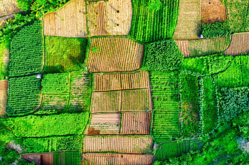 Aerial Photography of Farmland Aerial Photography of Farmland