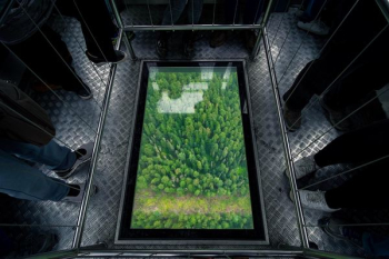 aerial photography of forest painting surrounded by people aerial photography of forest painting surrounded by people