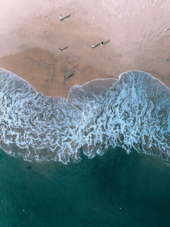 aerial photography of people on beach aerial photography of people on beach