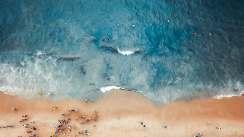 Aerial Photography of People on Beach Aerial Photography of People on Beach