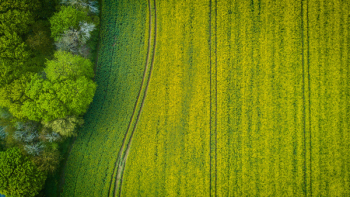 Aerial Photography of Wide Green Grass Field
