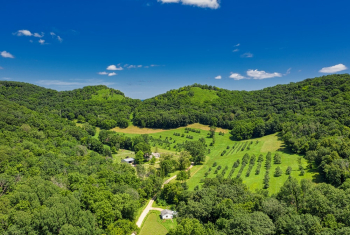 Aerial View of Forest
