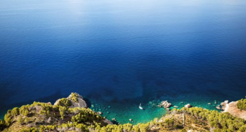 aerial view of forest near coastline