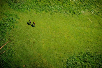 aerial view of grass grass field during daytime aerial view of grass grass field during daytime