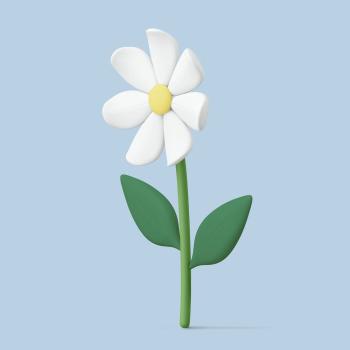 Aesthetic 3D flower sticker, white | Free PSD - rawpixel Aesthetic 3D flower sticker, white | Free PSD - rawpixel