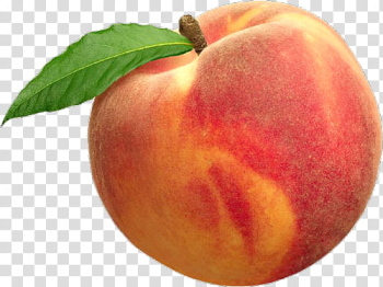 Aesthetic, apple fruit transparent background PNG clipart Aesthetic, apple fruit transparent background PNG clipart
